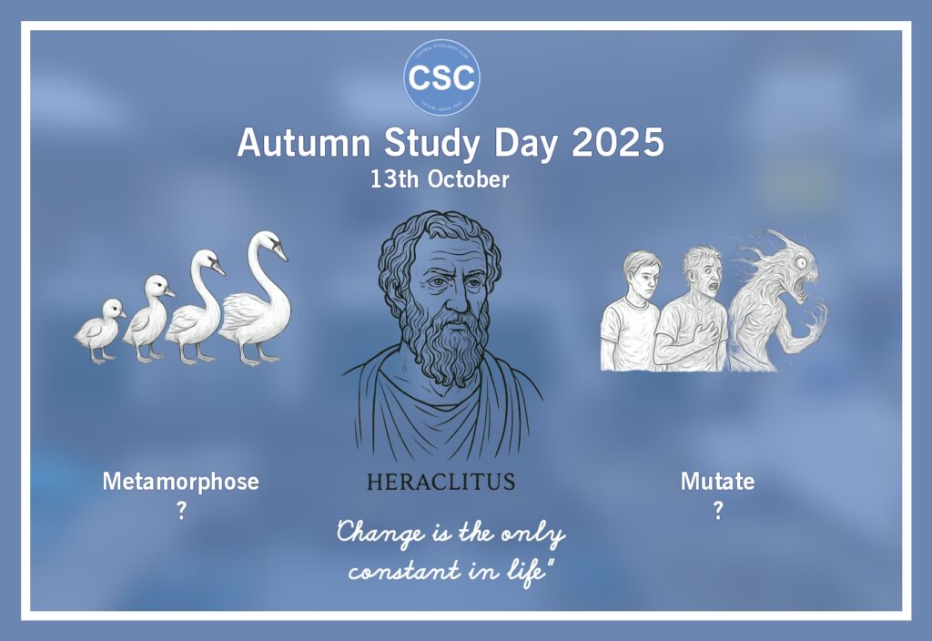 asd25 theme